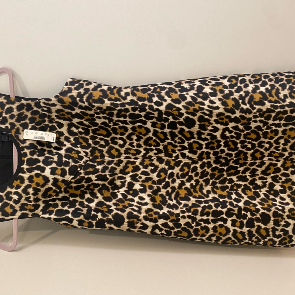Dress from Jcrew